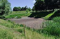 Kto i dlaczego osuszył staw na Gliniankach Włościańskich? "Zniszczono ekosystem"