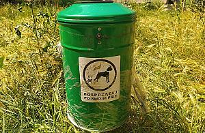 Awantura i złamany nos z powodu psiej kupy