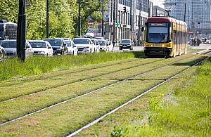 W dzielnicach z infrastrukturą zielone torowiska, w pozostałych marzenia o komunikacji szynowej