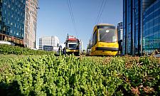 W dzielnicach z infrastrukturą zielone torowiska, w pozostałych marzenia o komunikacji szynowej