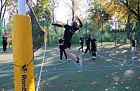 Oświetlenie w parku Sowińskiego, a obok zielony labirynt