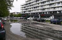 Błoto i miejsca parkingowe do likwidacji. Drzewa i krzewy mają wystarczyć