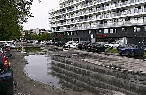 Błoto i miejsca parkingowe do likwidacji. Drzewa i krzewy mają wystarczyć