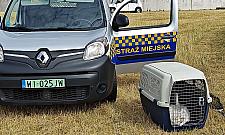 Akcja ratunkowa w oczyszczalni Czajka