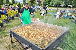 Bemowo zaprasza na piknik hawajski