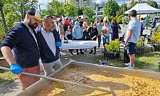 Bemowo zaprasza na piknik hawajski