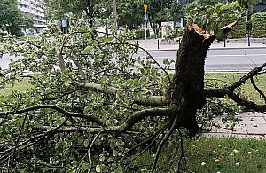 O krok od tragedii na Woli