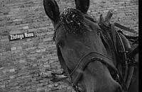 Co "Kronika" filmowała na Bielanach? Tego świata od dawna nie ma