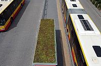 Nowych wiat przystankowych nie będzie. Kuriozalny wynik głosowania