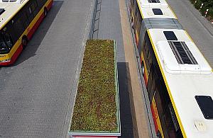 Nowych wiat przystankowych nie będzie. Kuriozalny wynik głosowania