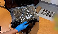 Owocowe żelki z zawartością narkotyku. "Producent" z Bielan zatrzymany