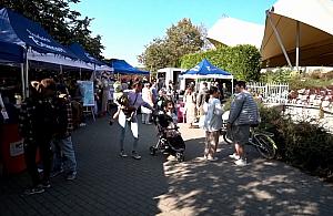 Bemowskie Centrum Kultury zaprasza na Dzień Otwarty do amfiteatru