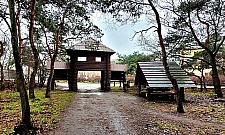 Wkrótce metamorfoza ścieżek spacerowych w Lesie Bródnowskim