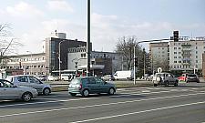 Modlińska ma być bardziej zielona. Co zmieni się w przyszłym roku?