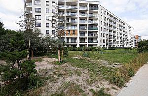 Kolejny skwer powstanie na Wawrzyszewie. Będą nawet "piesuary"