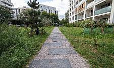 Kolejny skwer powstanie na Wawrzyszewie. Będą nawet "piesuary"