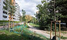 Kolejny skwer powstanie na Wawrzyszewie. Będą nawet "piesuary"