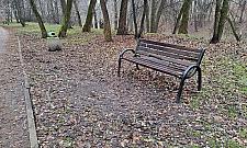 Sto nowych ławek dla Bemowa. Remontować czy stawiać nowe?