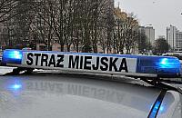 Z rannym niemowlakiem p�dzili do szpitala. Eskorta stra�nik�w miejskich