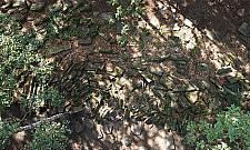 Na Bródnie odnaleziono grobowiec cadyka