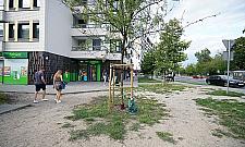 Na Powązkowskiej i Rydygiera zlikwidują "przedept". Mieszkańcy zagłosowali nogami