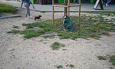 Na Powązkowskiej i Rydygiera zlikwidują "przedept". Mieszkańcy zagłosowali nogami