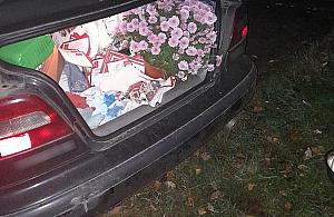 Pierwsza hiena cmentarna zatrzymana w Radości