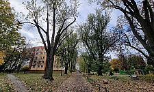 Tyle zostało z Orańskiej. Miała być ważną ulicą Targówka