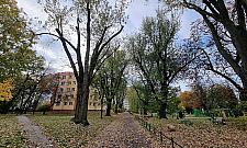 Tyle zostało z Orańskiej. Miała być ważną ulicą Targówka