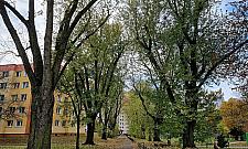 Tyle zostało z Orańskiej. Miała być ważną ulicą Targówka