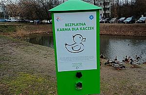 Mieszkańcy wciąż karmią ptaki chlebem