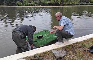 Wysepka dla kaczek wyrzucona w błoto. Mieszkańcy nie kryją żalu