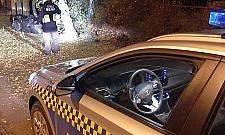 To nie jest "Przystanek Alaska". Łosie zablokowały ulicę