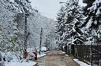 Problemy Boernerowa. "Telefoniczna w przyszłym roku"