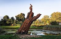 Na Żoliborzu pojawią się rzeźby na pniach wyciętych drzew