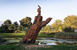 Na Żoliborzu pojawią się rzeźby na pniach wyciętych drzew