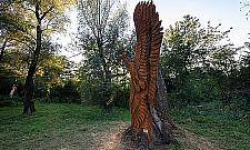 Na Żoliborzu pojawią się rzeźby na pniach wyciętych drzew