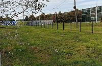 Wybieg dla psów zmienia lokalizację. Przenosiny do parku Bródnowskiego