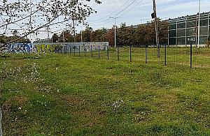 Wybieg dla psów zmienia lokalizację. Przenosiny do parku Bródnowskiego