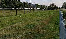 Wybieg dla psów zmienia lokalizację. Przenosiny do parku Bródnowskiego