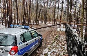 Zwalone drzewo blokowało dojazd do domów w Miedzeszynie