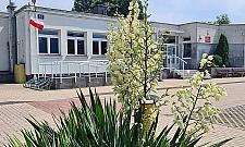 Nowa szkoła powstanie na terenie MPO