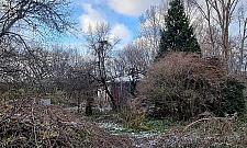 Tyle zostało z ulicy Pieńkowskiej. Rudera jedynym świadkiem historii