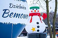 Choinka pod choinkę. Bemowo rozdaje drzewka