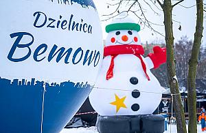 Choinka pod choinkę. Bemowo rozdaje drzewka