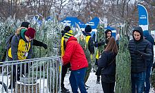 Choinka pod choinkę. Bemowo rozdaje drzewka