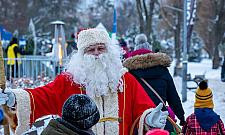 Choinka pod choinkę. Bemowo rozdaje drzewka