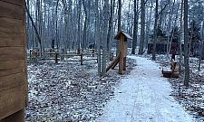 Jakie powinny być "skwery leśne"?