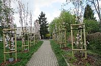 Zielony Żoliborz w liczbach, czyli podsumowanie 2023 roku