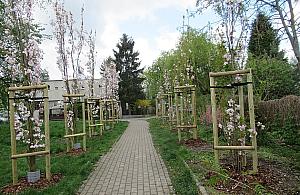 Zielony Żoliborz w liczbach, czyli podsumowanie 2023 roku